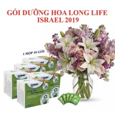 Combo Hôp 10 Gói Bột Dưỡng Hoa Tươi Lâu Hiệu Longlife