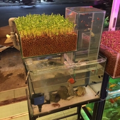 hệ mini kính
