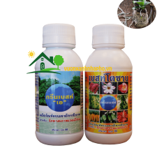 Double Amazing Thailand Cặp Đôi Hoàn Hảo - 200ml