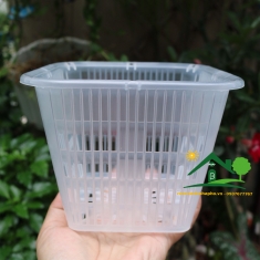 Chậu nhựa trong vuông size 140x110x90mm trồng lan cây thuỷ sinh