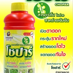 Chiết Xuất Rong Biển Thái Lan Chopar - Chai 1 lít
