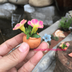 Phụ Liệu Trang Trí Bonsai Tiểu Cảnh Sen Đá Xương Rồng ( chum size S )