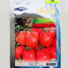 CÀ CHUA BI - TOMATO - CTQ01-OP