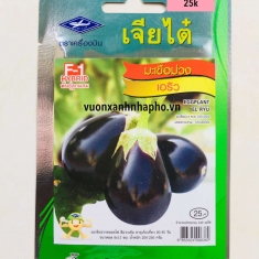 CÀ TÍM NGẮN THAILAND - EDDPLANT EL RYU - CTQ04/F1