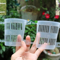 100 Chậu nhựa trong áp thân cây chuyên trồng lan thòng lan rừng các loại cây rễ bám