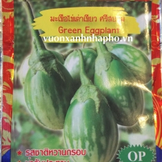 CÀ PHÁO TRỨNG XANH  - GREEN EGGPLANT - OP