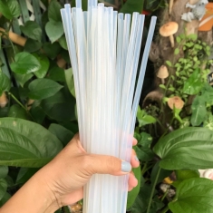 Bộ 10 Keo Cây Trong Loại Nhất 0.7cm x  28cm