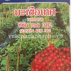 CÀ CHUA BI - TOMATO  382