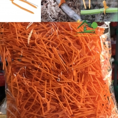 1000 Kẹp càng cua cố định kie cho phong lan, cố định dây leo