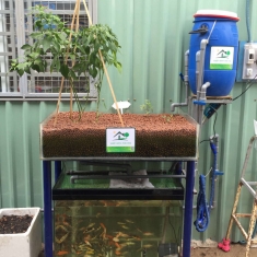 hệ mini khay 100 lít