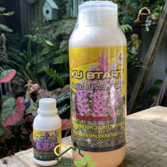 Kích rễ Ku Statrt B1 Thailand, 100ml, 1000ml (Siêu Phẩm 3 trong 1, Kích Rễ - Dưỡng - Kích Hoa)
