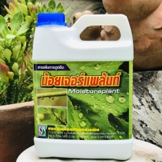 Chất Bám Dính Hữu Cơ Moisture Plant Thailand - 1 lít