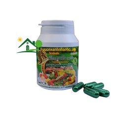 Phân Bón Vi Sinh Đậm Đặc Rồng Vàng Thailand - 1 viên