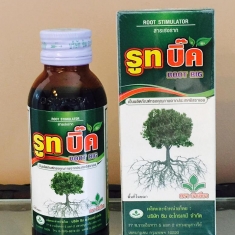 Thuốc Kích Rễ Chiết Cành Đậm Đặc Root Big Thailand -  100ml
