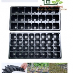Khay vỉ ươm - Set 5 khay chữ nhật 21/32 Ô VUÔNG - dùng chứa chậu ươm trồng sen đá xương rồng cây cảnh, lan con
