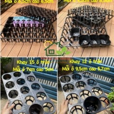 CNVN -  set 5 khay chữ nhật khay ô tròn và set 1 khay chữ nhật ô vuông dùng chứa chậu ươm trồng sen đá xương rồng cây cảnh giò lan.