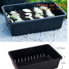 2 Khay chữ nhật 26cm - nhựa PP dùng trồng rau mầm, ươm sen đá xương rồng size 26x17x7cm