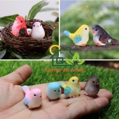 TT40 - VẸT NHIỀU MÀU GIAO MẪU NGẪU NHIÊN 