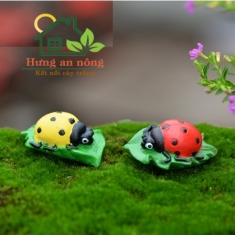 TT64 - BỌ CÁNH TRÊN LÁ SIZE LỚN 