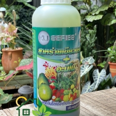 Rong Biển Thái Lan Ku-Series - Chai 1 lít