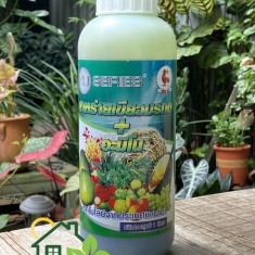 Chiết Xuất Rong Biển Thái Lan - Chai 1 lít