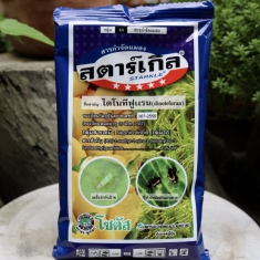 Starkle Lưu Dẫn Diệt Côn Trùng Thailand - 100g (Dạng Bột)