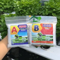 Dung Dịch Thủy Canh A-B Kokomax Thailand (Bột) - 500g