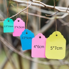 Set 100 thẻ treo kèm sẵn dây dùng đánh dấu ghi nhớ tên giống cây trồng - size 5x7cm